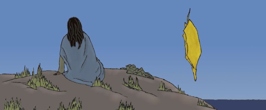 A human sitting on top of a mountain cliff watching a dragon diving in the ocean; scene from Heart of Fire, Dragon-mage Book One, an epic fantasy by Raina Nightingale